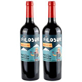 Kit com 02 Unidades de Vinho Tinto Argentino Filosur Malbec 2021 com 750 ml
